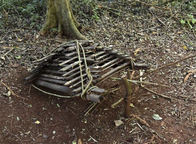 Puerto Iguazu: Jungle Horseback Ride With Guaraní Community - Frequently Asked Questions