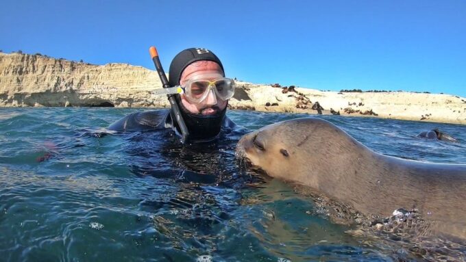 Puerto Madryn: 3-Hour Snorkeling Trip With Sea Lions - Tips for a Great Experience