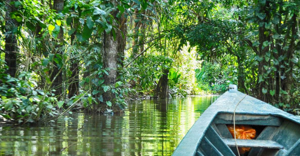 Puerto Maldonado: 2-Day Peruvian Tambopata Jungle Trip - Day 1 Activities