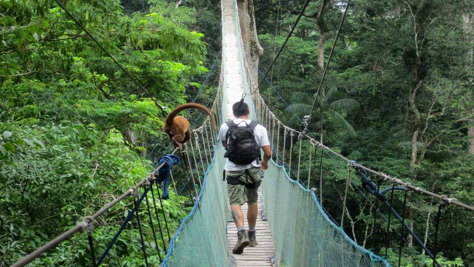 Puerto Maldonado: 2-Day Peruvian Tambopata Jungle Trip - Day 2 Activities