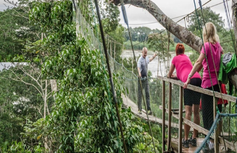 Puerto Maldonado: 3-Day Tambopata National Reserve Trek Trip - Participant Restrictions