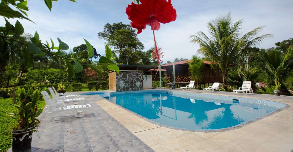 Puerto Maldonado: 4-day Tambopata National Reserve Tour - Key Points