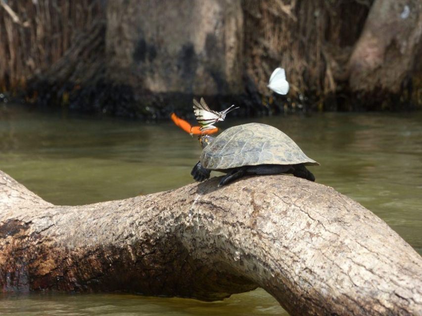 Puerto Maldonado: 4 Days Kayak Tour - Included Services