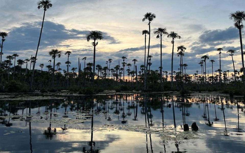 Puerto Maldonado: Jungle of Tambopata National Reserve 3D/2N - Key Points