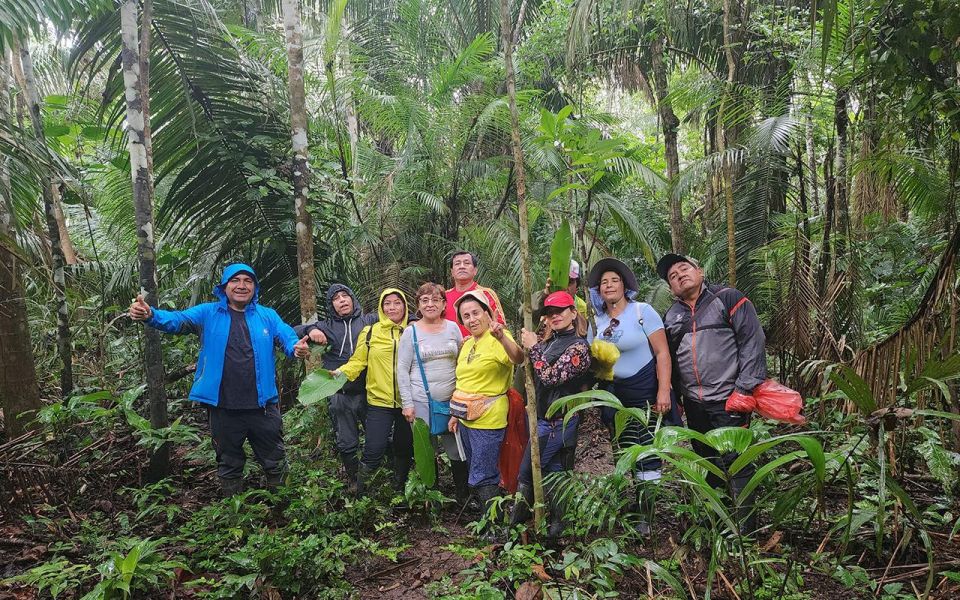 Puerto Maldonado: Jungle of Tambopata National Reserve 3D/2N - Guided Excursions