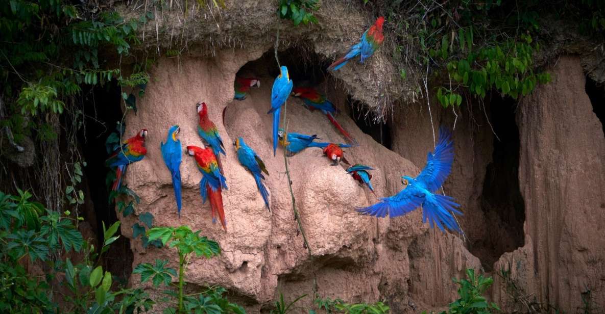 Puerto Maldonado: Nature & Adventure at Tambopata 2D/1N - Booking and Cancellation Policy