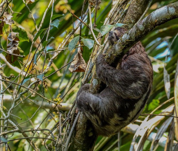 Puerto Maldonado: Sandoval Lake Full-Day Trip With Canoeing - Key Points