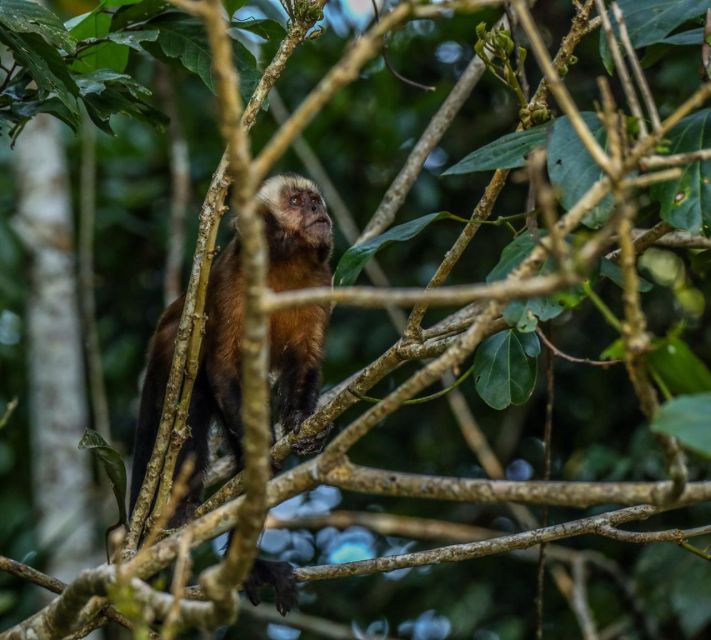 Puerto Maldonado: Sandoval Lake Full-Day Trip With Canoeing - Detailed Itinerary