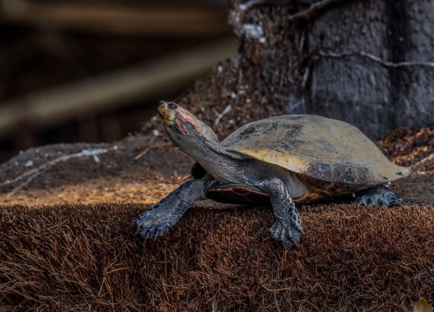 Puerto Maldonado: Sandoval Lake Full-Day Trip With Canoeing - Customer Experiences and Ratings
