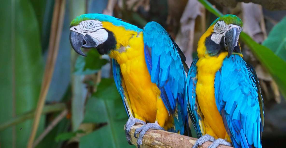 Puerto Maldonado: Tambopata National Reserve 4-Days - Day 2: Sandoval Lake Adventure