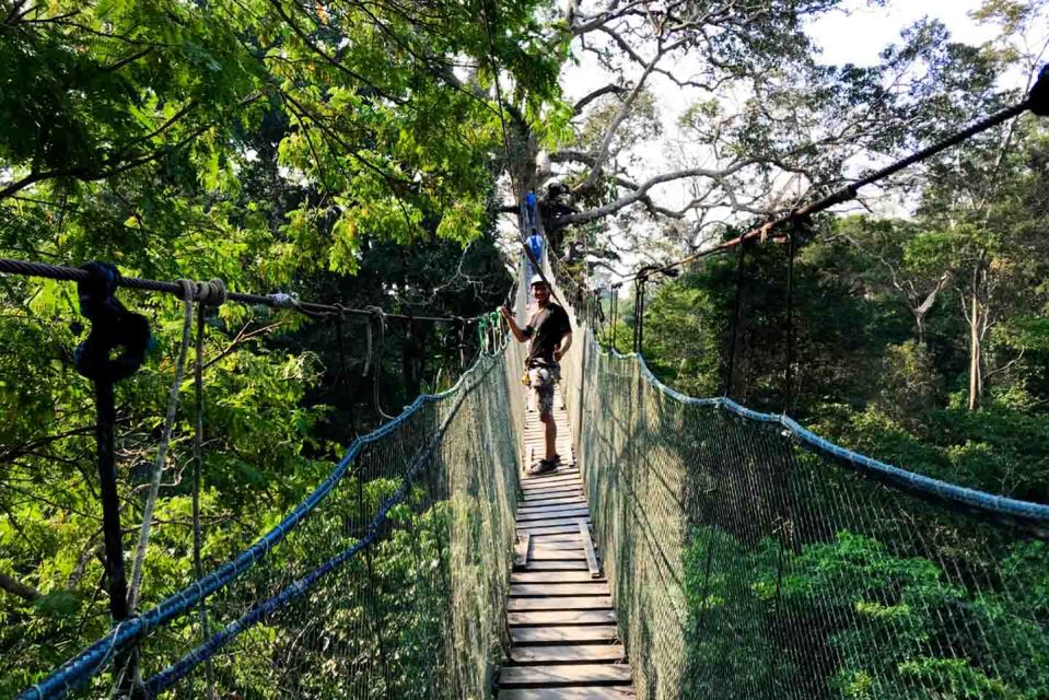Puerto Maldonado: Tambopata National Reserve 4-Days - Day 4: Departure and Highlights