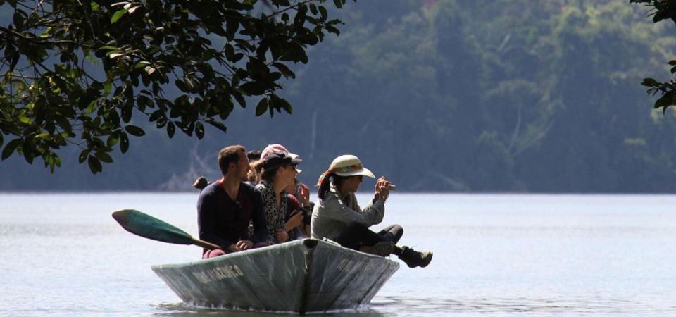 Puerto Maldonado: Tour to the Tambopata Clay Licks - 6 Days - Day 3 Activities