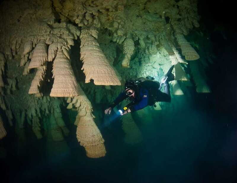 Puerto Morelo: Cenote Diving - FAQs