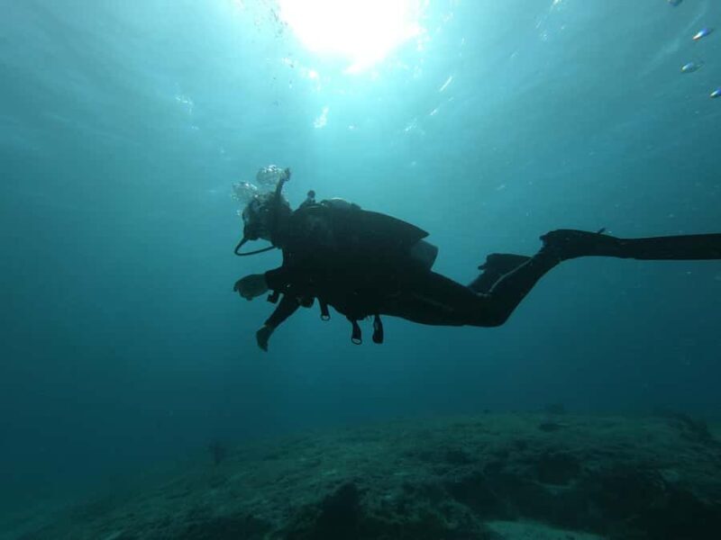 Puerto Morelos: 2-Tank Dive in a Protected Marine Park - What Makes This Dive Experience Stand Out?