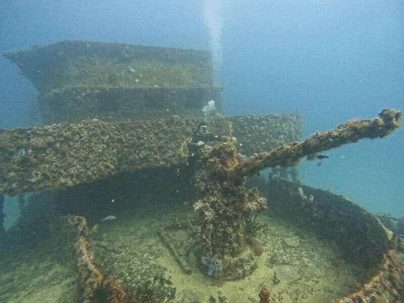 Puerto Morelos: C-56 Shipwreck & Reef for Certified Divers - A Closer Look at the Tour Experience