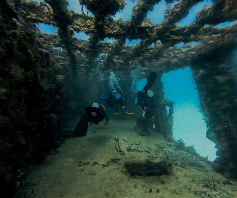 Puerto Morelos: C-56 Shipwreck & Reef for Certified Divers - Who Will Love This Tour?
