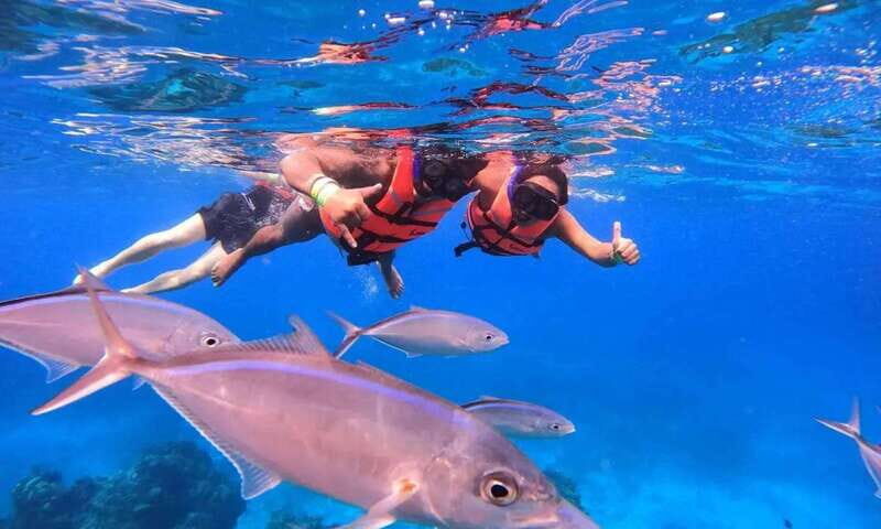 Puerto Morelos: Guided Snorkeling Tour with Gear & Fees - Key Points