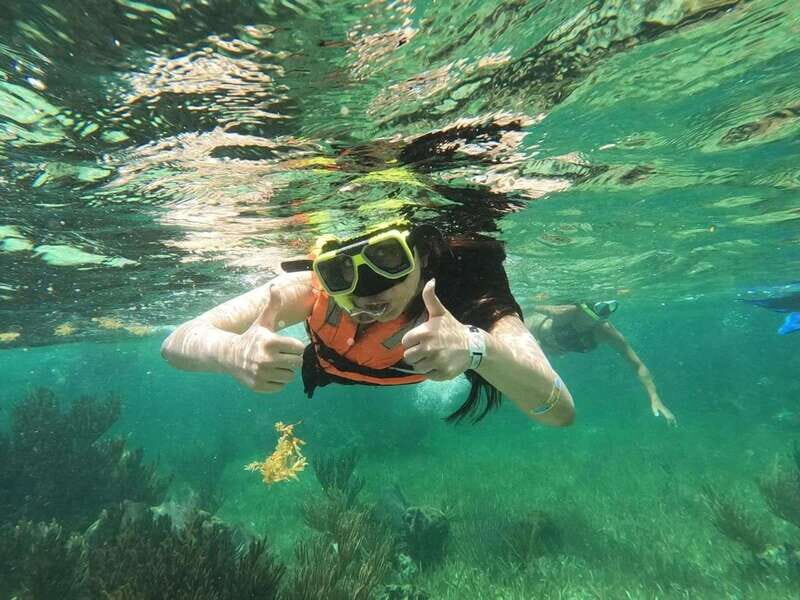 Puerto Morelos: Guided Snorkeling Tour with Gear & Fees - What to Expect from Your Snorkeling Adventure