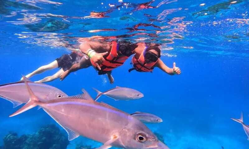 Puerto Morelos: Guided Snorkeling Tour with Gear & Fees - The Practical Side: Price, Duration, and Logistics