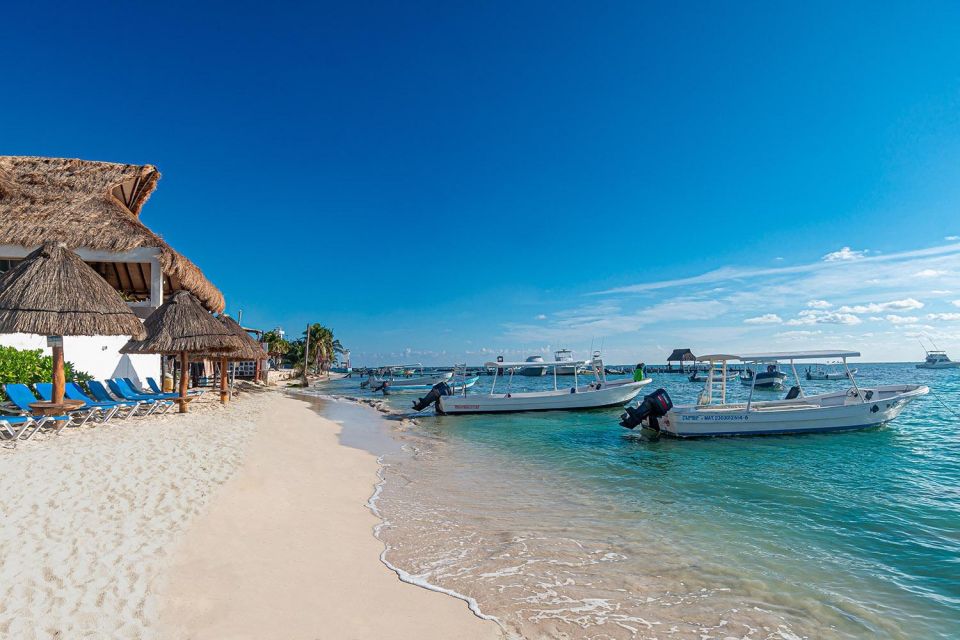 Puerto Morelos Reef Snorkeling Tour With Lunch - Key Points