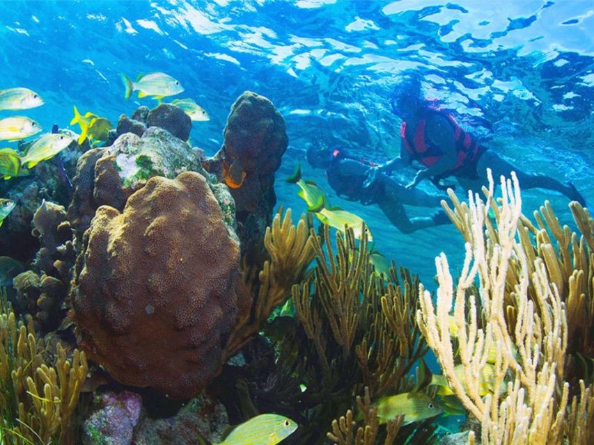 Puerto Morelos Reef Snorkeling Tour With Lunch - Itinerary Details