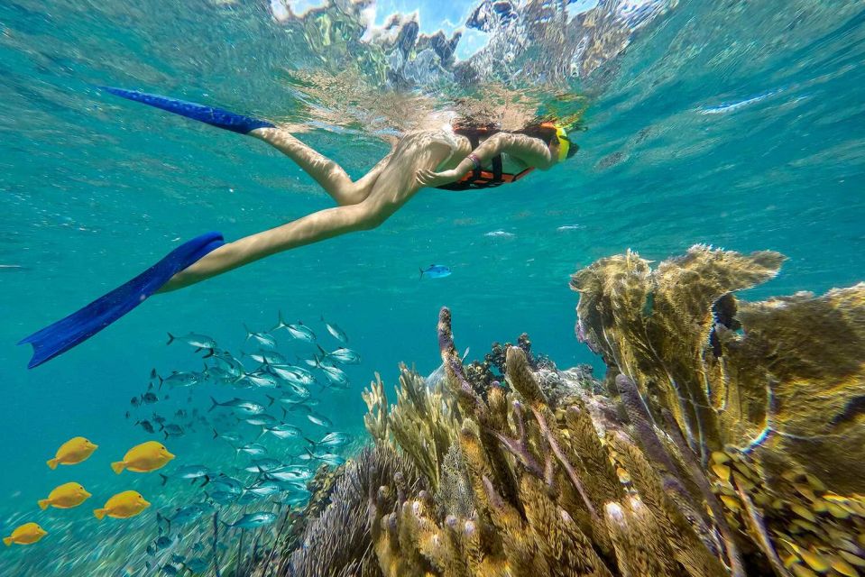 Puerto Morelos Reef Snorkeling Tour With Lunch - Snorkeling Experience