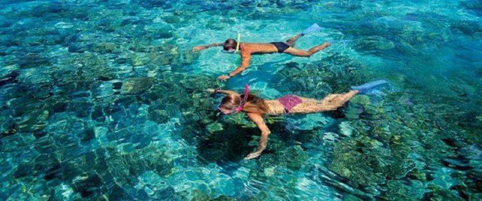 Puerto Morelos Reef Snorkeling Tour With Lunch - Highlights and Inclusions