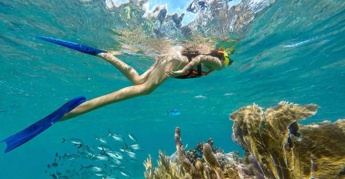 Puerto Morelos Reef Snorkeling Tour With Lunch - Frequently Asked Questions