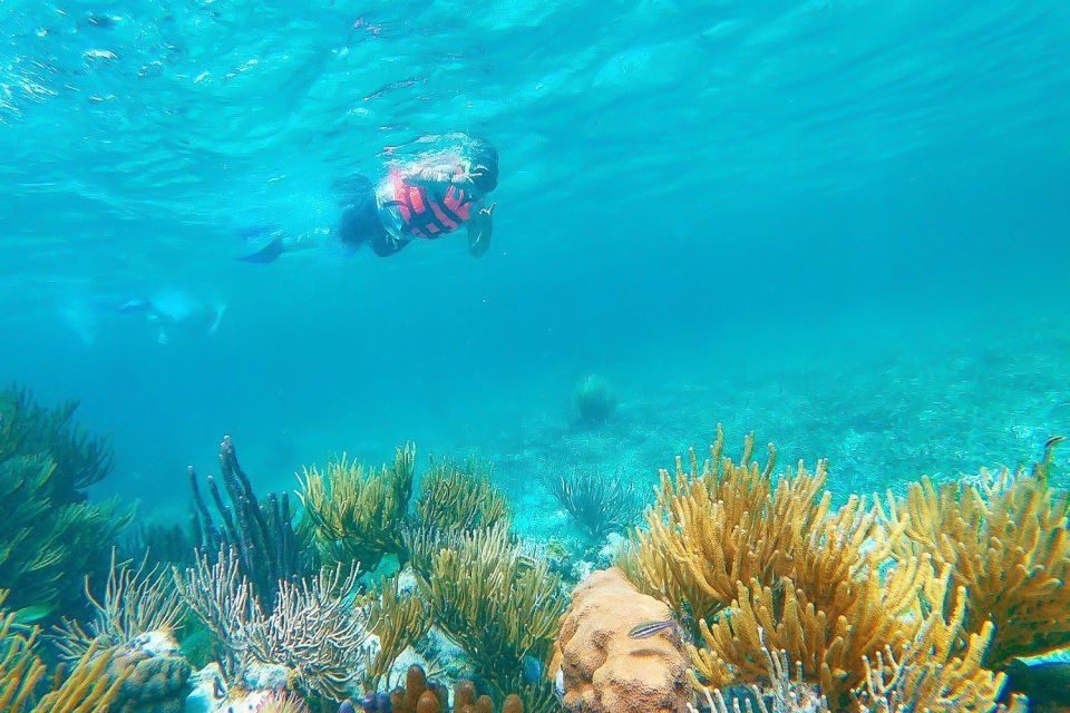 Puerto Morelos: Reef Snorkeling Trip With Beachside Lunch - Snorkeling Gear and Amenities