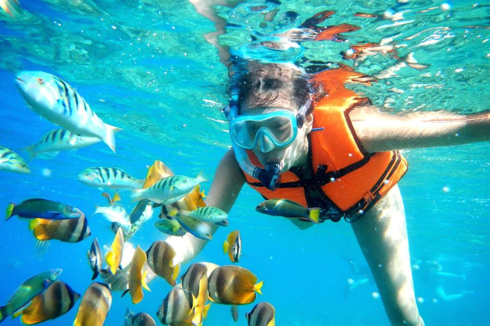 Puerto Morelos: Reef Snorkeling Trip With Beachside Lunch - Beverage Offerings