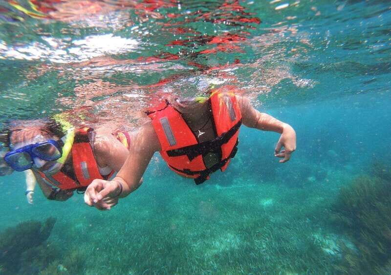 Puerto Morelos: Snorkel in Coral Reef with transportation - Key Points