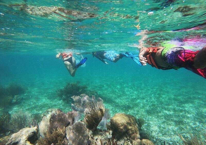 Puerto Morelos: Snorkel in Coral Reef with transportation - An In-Depth Look at the Tour Experience