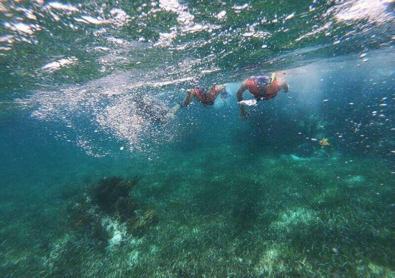 Puerto Morelos: Snorkel in Coral Reef with transportation - Final Thoughts