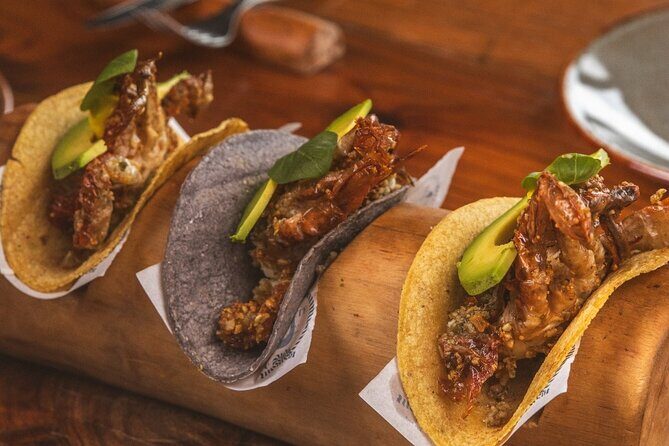 Puerto Morelos Snorkel Nature Tour ! Private from Cancun - Who Should Consider This Tour?