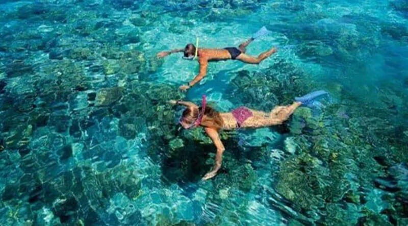 Puerto Morelos: Snorkeling at The National Reef Park - An Overview of the Snorkeling Experience