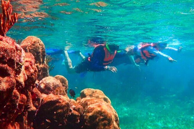 Puerto Morelos Snorkeling: Discover Vibrant Underwater Life - A Practical Overview of the Puerto Morelos Snorkeling Tour