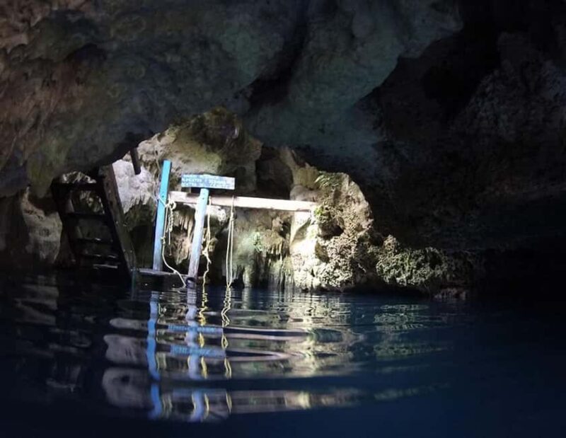 Puerto Morelos: Snorkeling In Cenotes - Key Points