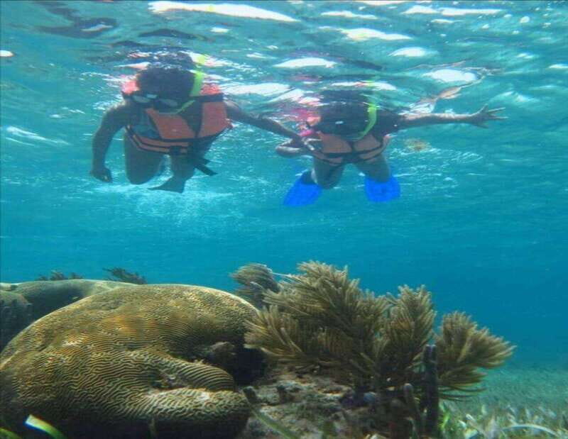 Puerto Morelos: Snorkeling Tour - Who Should Book This Tour?  