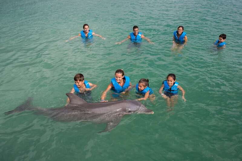 Puerto Morelos: Swim with dolphins Primax - Key Points