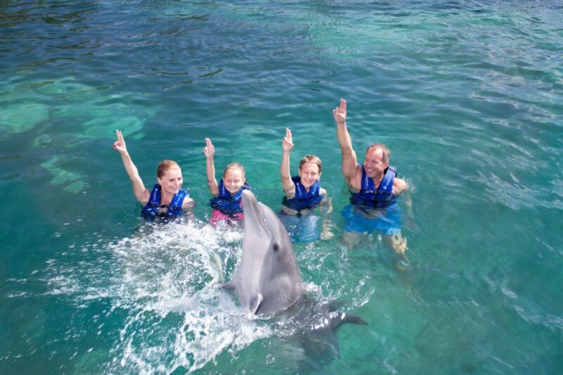 Puerto Morelos: Swim with dolphins Primax - The Unique Value of a Small Group