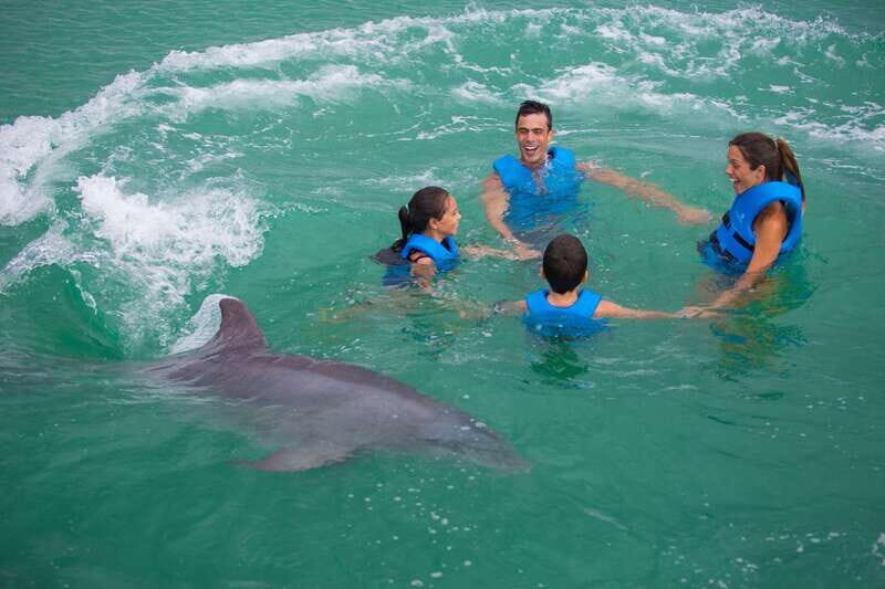 Puerto Morelos: Swim with dolphins Primax - Final Thoughts