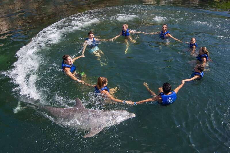 Puerto Morelos: Swim with Dolphins - Practical Tips for Booking and Enjoying the Tour
