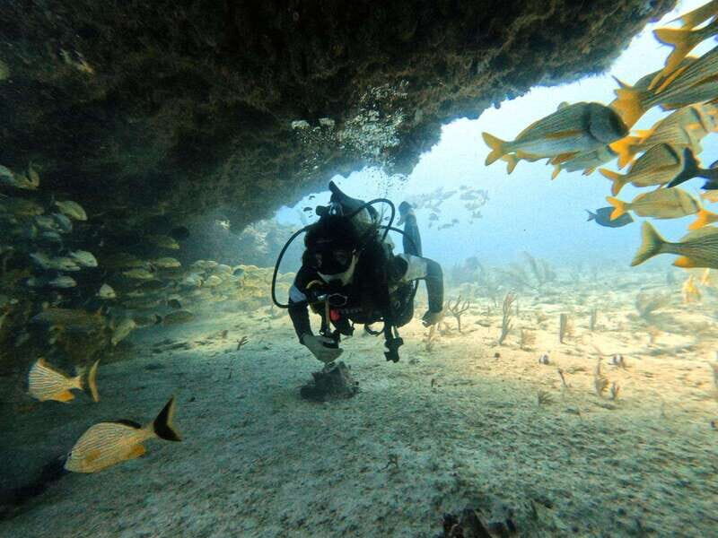 Puerto Morelos: Two Reef Dives for Certified Divers - What Travelers Should Know