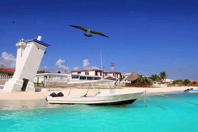 Puerto Morelos Two Reefs Snorkeling Tour - Authentic Experiences and Honest Perspectives