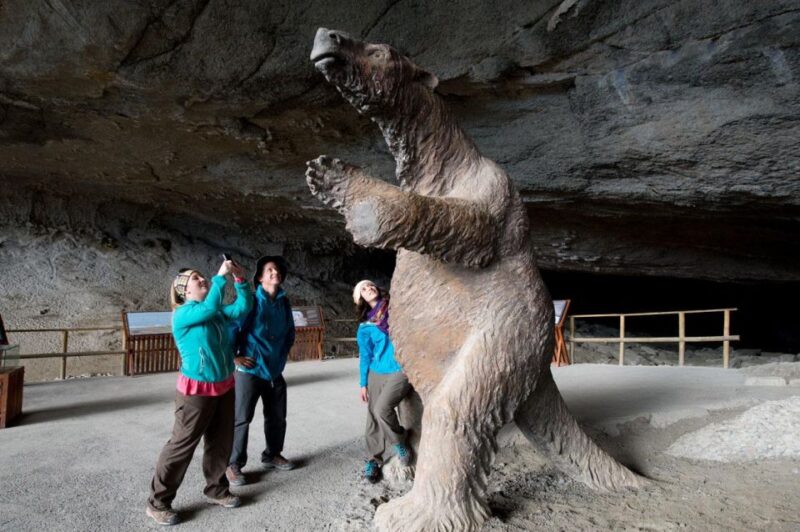 Puerto Natales: Full Day Torres Del Paine + Milodon Cave - Customer Feedback