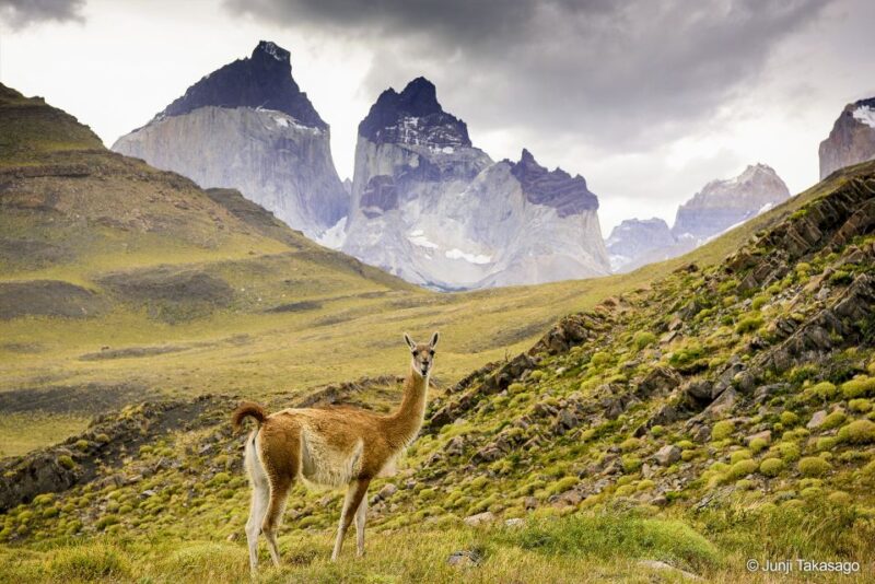Puerto Natales: Full Day Tour Torres Del Paine National Park - Inclusions and Optional Add-ons