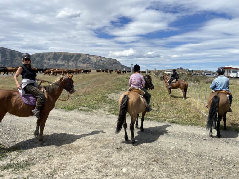Puerto Natales: Horseback Riding With Horse Connection - Detailed Itinerary