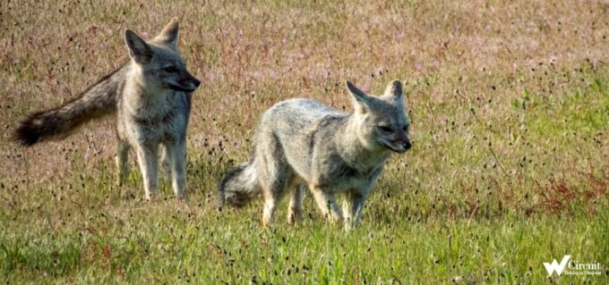 Puerto Natales: Torres Del Paine Park Full-Day Hike - Tips for a Successful Hike