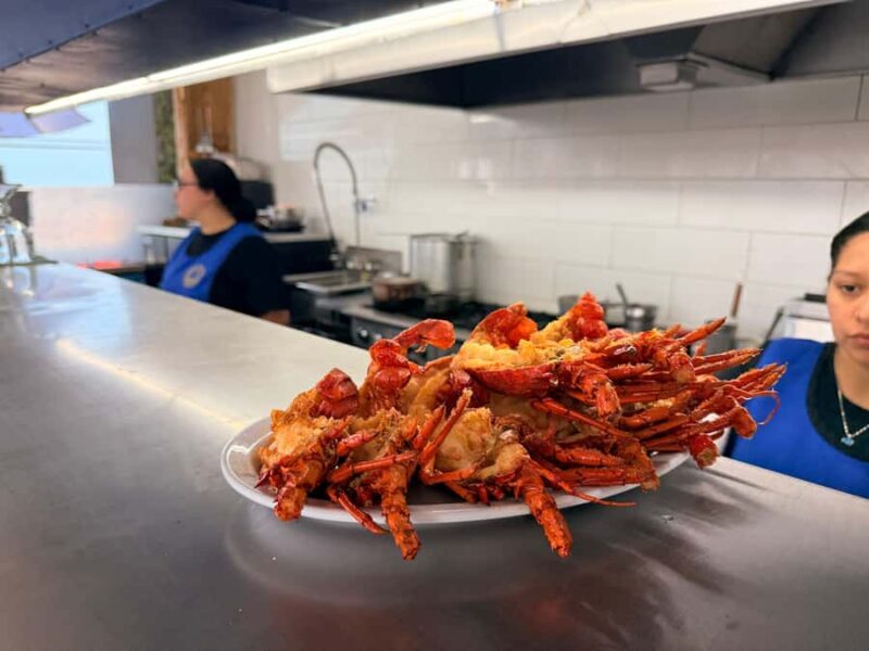 Puerto Nuevo & Valle de Guadalupe Tour with Lunch and Wine - Who Would Enjoy This Tour?