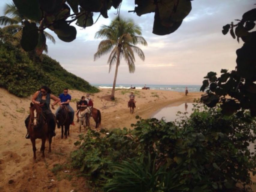 Puerto Plata: 2-Hour Horseback Ride on the Beach - Key Points